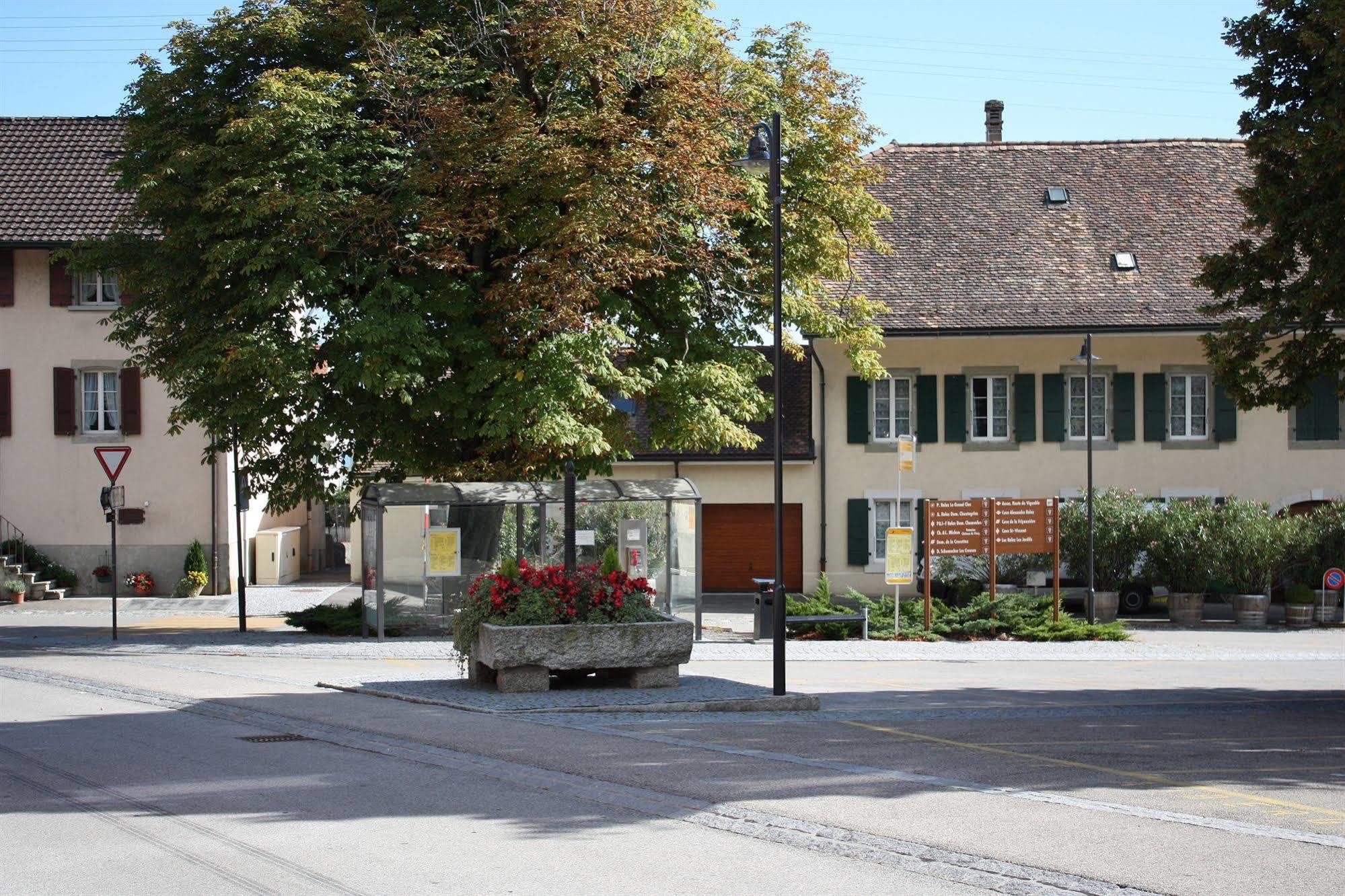 Auberge Communale A L'Union Gilly Luaran gambar